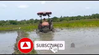 #yanmar #TractorVideos #srilanka                කුබෝටා බෑ කියපු වගල් ගහන්නේ