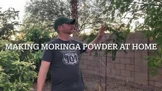 Making Your Own Moringa Powder At Home