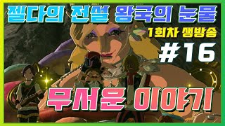 젤다의 전설 티어스 오브더 킹덤 1회차/16