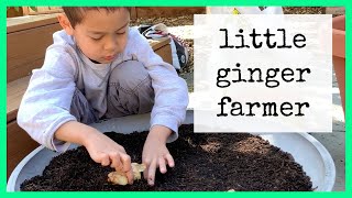 🧑🏽‍🌾🥕5-Year-Old Gardener Planting Ginger