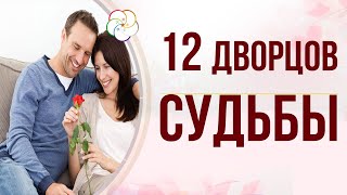 БАЦЗЫ: 12 Дворцов Судьбы. Дворцы Родителей, Детей, Друзей, Братьев и Сестер, Супругов