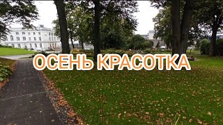 ОСЕНЬ КРАСОТКА! 🇧🇻 А так день начинался хорошо 😔😥