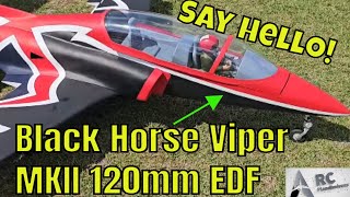 Best Jet Ever!? Meet the Black Horse Viper: The Ultimate RC EDF Jet!