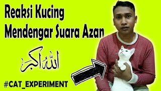 Cat Experiment | Reaksi Kucing Mendegar Suara Azan | Gemez Banget Gais Masya Allah