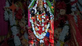 Sandhya Darshan maa mangala 🌺🌺🌺🙏🚩