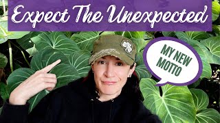 The Never-Ending Cycle of Unexpected Events Continues | What's New In My Planty Life