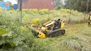 Giant lawnmower with remote control