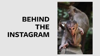 INSTAGRAM vs REALITY: BALI MONKEY FOREST | Travel photography test