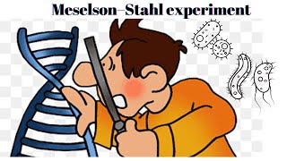 Meselson–Stahl experiment | CSIR NET Life Sciences, GATE, ICMR #csirnetlifescience