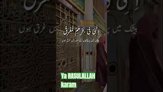 Ya Rasool Allahi Unzur Halana | Naat status | Islamic short video |New Whatsapp Status |#shorts