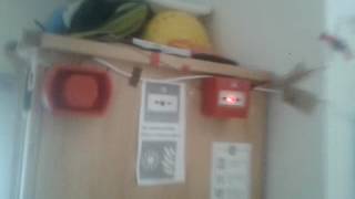 My fire alarm test 44.