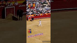 Noel Ribera concurso nacional de recortes Valencia 2023 #bulls #concurso #valencia #españa #toros