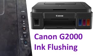 Canon G2000 Ink Flushing