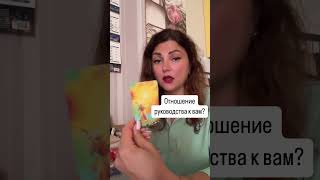 Отношение руководства к вам?