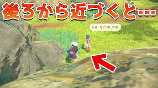 ポケモンレジェンズアルセウス 廃人しか気づかない村の外に隠された細かすぎる小ネタ6選