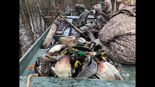 Arkansas Duck Season 2018: Lost Island Smackdown