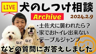 犬のしつけ相談ライブ☆ゲリラライブ 【アーカイブ 2024/02/09】