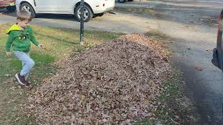 Luke playing in a pile of leaves