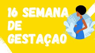 16 SEMANA DE GESTAÇÃO