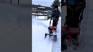 Snowy Yard: A Day of Snow Removal