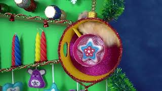 Christmas Tree Maze and Present for Funny Hamster