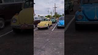 Some nice VW's at Chirco #bug #bus #vw