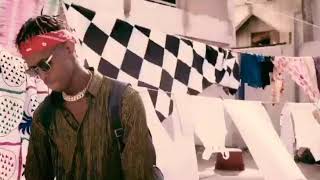 Samba peuzzi oulalah clip officiel