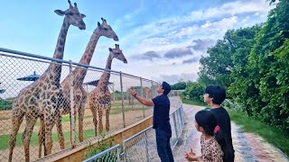 The Wildlife Experience | Syed Jibran | Family day out at  DAN ZOO | Behria Karachi