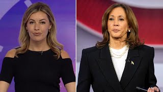 'Reeks of desperation': Sky News host blasts Kamala Harris' 'ugly' attack on Donald Trump