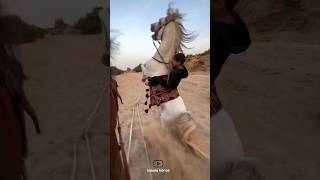 A young rider with a playful horse😂|سوارکاری پسربچه با اسب بازیگوش😂#horse #animals #funny #اسب #حصان