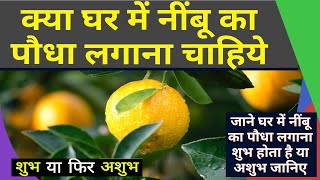 Vastu Shastra for Lemon Plant | घर में नींबू का पौधा लगाना शुभ होता है या अशुभ जानिए? #PlantingLemon