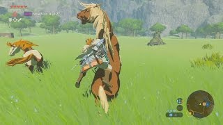 How To Catch A Horse in ZELDA Breath Of The Wild -FAST & EASY