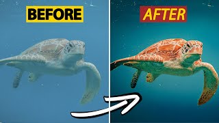 STOP & Fix Your COLORS In Underwater Video....MUST KNOW Editing Tricks