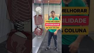 Como melhorar a estabilidade da sua coluna, faça 30 segundos de cada exercício