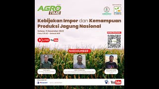 Agrotime #01 Kebijakan Impor dan Kemampuan Produksi Jagung Nasional