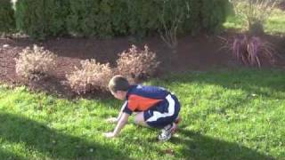 Exercise of the Week #40 Handstands for Kids