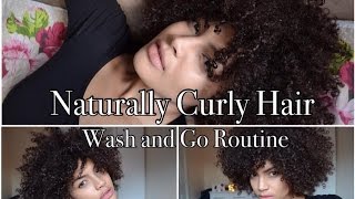 Naturally Curly Hair   Wash and Go Routine