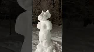 Snow cat no.134 #cat #cats #kitten #snow #winter