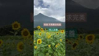 幸福的定義🌻