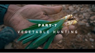 PART-7 | VEGETABLE | HUNTING