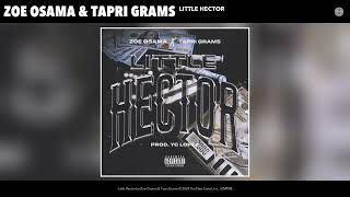 Zoe Osama & Tapri Grams - Little Hector (Official Audio)