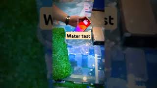 iPhone 11 pro water test 100 waterproof #youtubeshorts #reels #trending