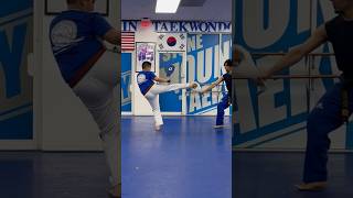 Just a couple of siblings kicking it together #martialarts #taekwondo #target #training #shorts