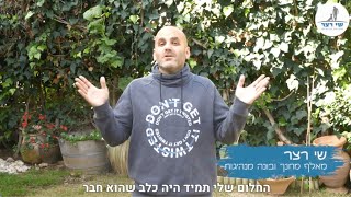 קורס האילוף הדיגיטלי-״אילוף חיובי עם גבולות ברורים״