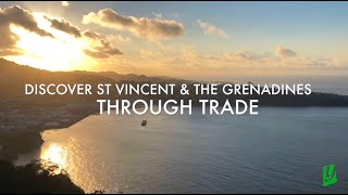 Prysma International Cooperation - St Vincent and the Grenadines