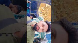 Haram E Bibi Masooma E Qumس iram |Live Qum |iran qum #iran #viral #youtubeshorts#shorts #shortsvideo