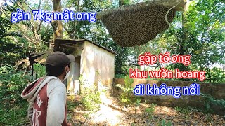 #1098. Vào Khu Vườn Hoang RỢN NGƯỜI Nổi Hết Da Gà. SCARY PEOPLE GO INTO THE WILD TO CATCH BEES