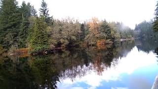 Rice lake @ Lynn Canyon Park