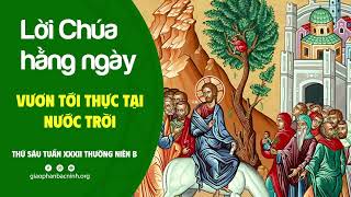 Vươn tới thực tại Nước Trời | Thứ Sáu tuần XXXII Thường Niên B | Lời Chúa hằng ngày