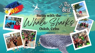 Swim with the Whale Sharks! Super worth it.. a must try in Oslob, Cebu! Some days in Pinas!